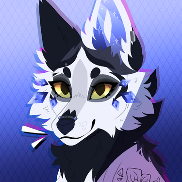 Headshot : $25